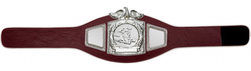 PROEAGLE MMA CHAMPIONSHIP BELT - PROEAGLE/S/MMAS - AVAILABLE IN 6+ COLOURS